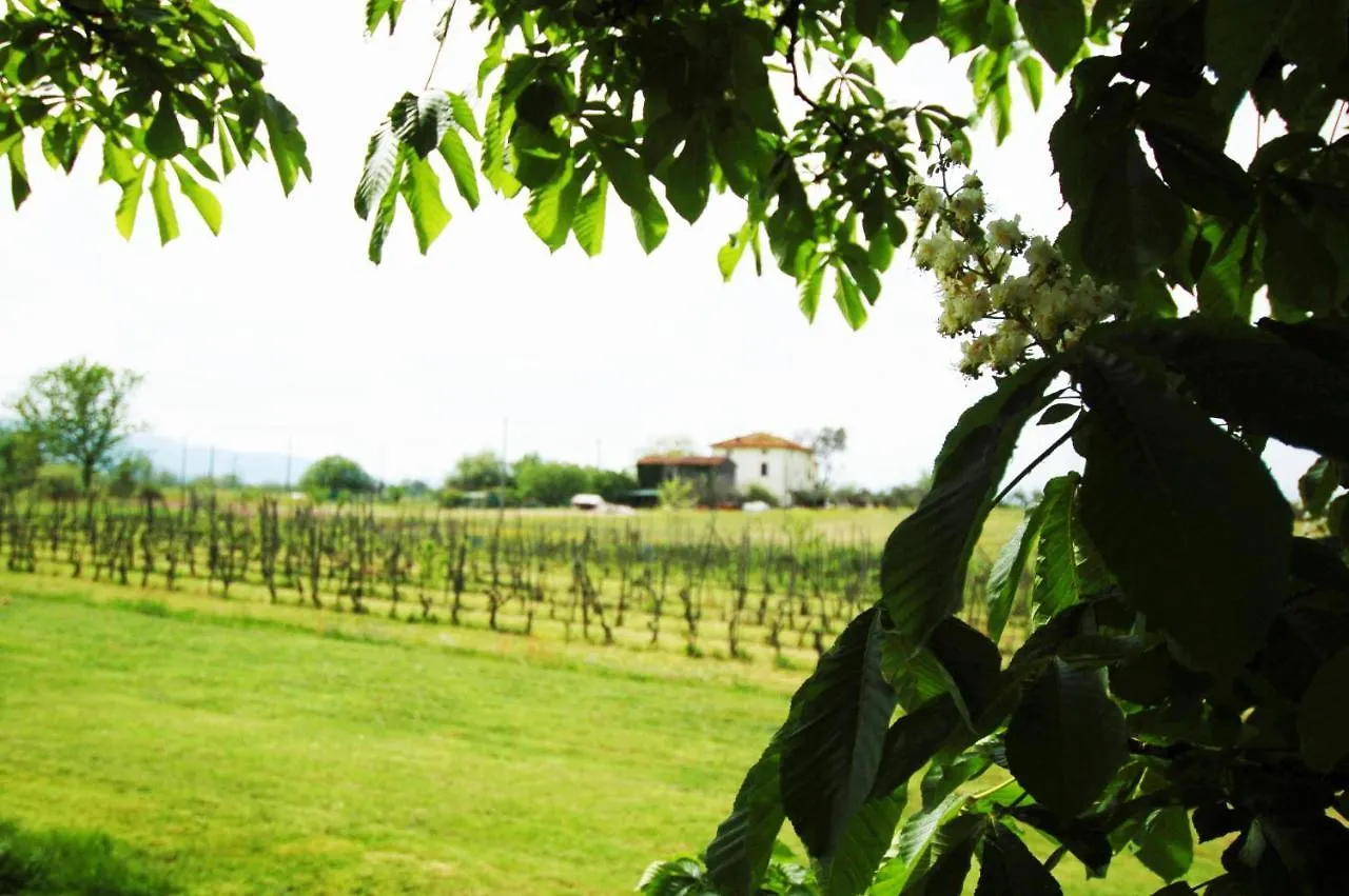 Couette-café Bed and Breakfast La Ginestra à Orentano